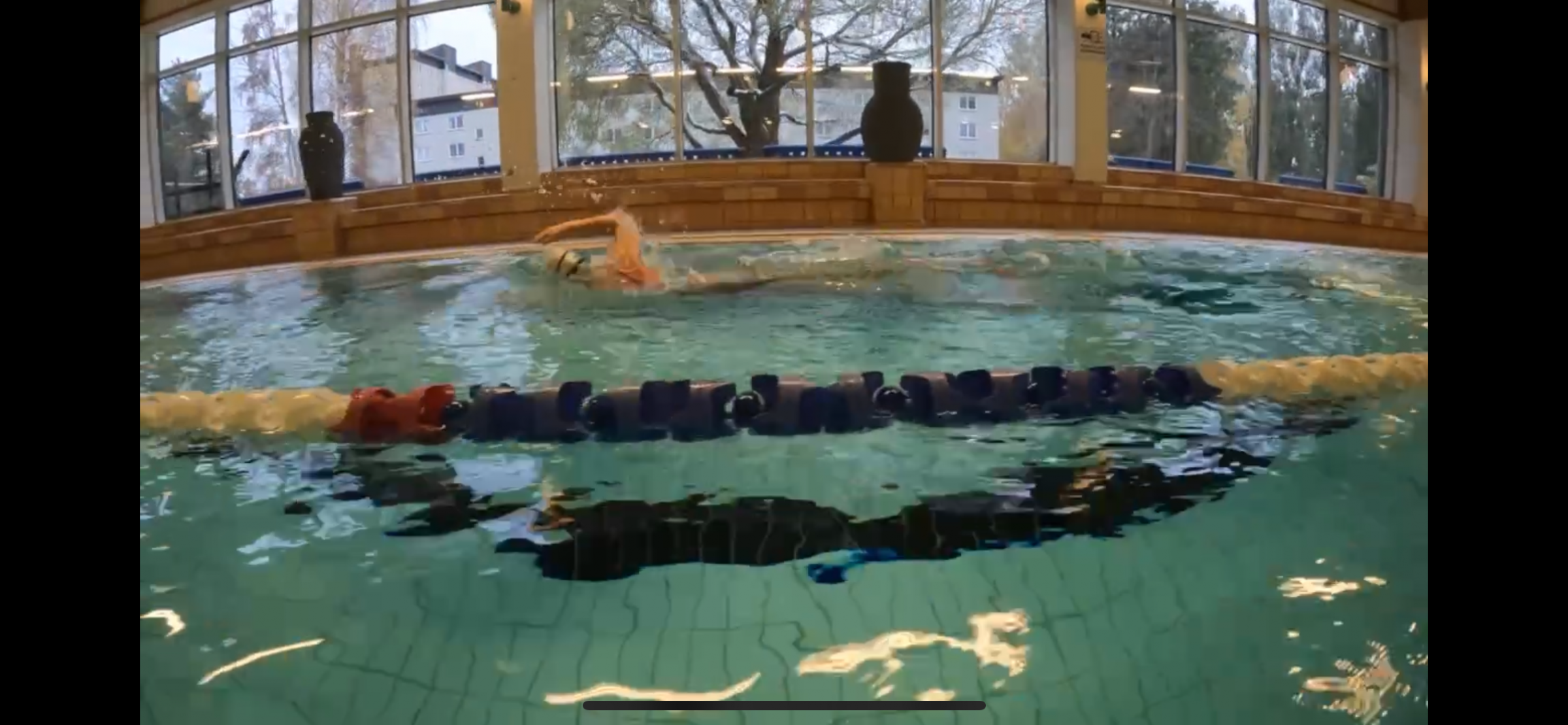 image: Anmälningar till vuxencrawl och fredagsfys